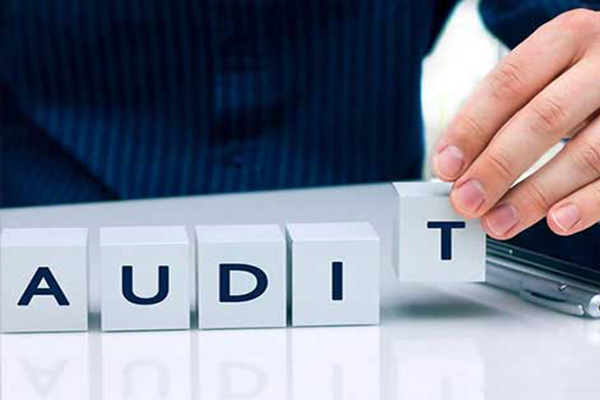 Audit
